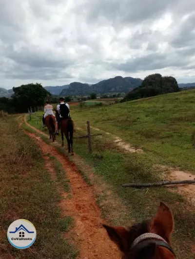 Miniatura 15 - Renta de casa en el paisaje rural de Viñales, Pinar del Río.