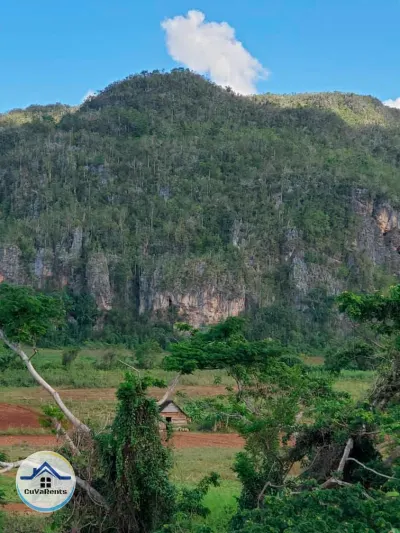 Miniatura 13 - Alquiler de hostal en Viñales, Pinar del Río,